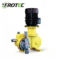 Pompe doseuse à membrane mécanique série GM GB 1800L/h 12bar pour le traitement de l'eau et la pétrochimie