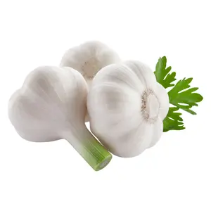 Harga pasar Bawang putih segar putih murni Normal untuk grosir dari produsen bawang putih Tiongkok