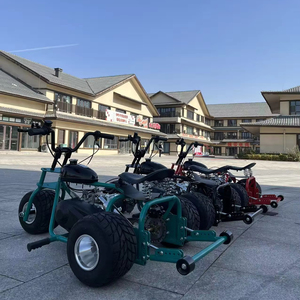 Mini-tricycle <span class=keywords><strong>motorisé</strong></span> rapide pour adultes, 212cc, quatre temps, à essence, tout-terrain, personnalisé, en gros de Chine, en stock à vendre - Product Image 5