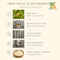 Extrait naturel de fruit du moine 60% Mogroside V Luo Han Guo, édulcorant en poudre, substitut du sucre pour boissons et aliments
