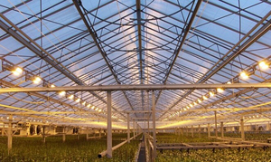 Luz de Cultivo <span class=keywords><strong>HPS</strong></span> de 1000W, Iluminación para Cultivo de Plantas, Alto Lumen K12*30s, 28000 Horas de Vida Útil, Regulable, 145 Lm/<span class=keywords><strong>W</strong></span> - Product Image 5