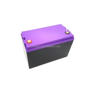Lifepo4 purple cover 12V 24V 48V 100Ah 200Ah 300Ah 400ah Empty plastic Lithium Battery case