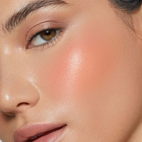 Jelly Tint Blush Cooling Water Jelly Blush Vegan Sans cruauté aux animaux Joues et Lèvres Blush Private Label
