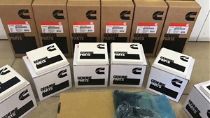 4380741 ट्यूब ऑयल गेज 4380743 ट्यूब ऑयल गेज - Product Image 4