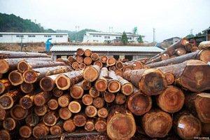 Gỗ Log Di Động Ban Nhạc Cưa/Ban Nhạc Saw Mill Máy Saw Chế Biến Gỗ Ngang Chùm Saw - Product Image 2