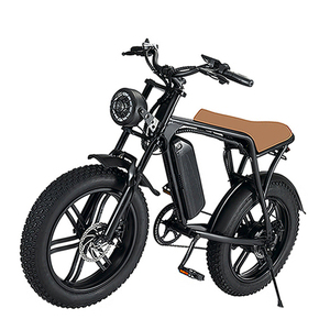 Oferta Especial: Bicicleta Eléctrica de 750w con Pedales, 1000w, Certificación CE, Gran Venta en Israel - Product Image 1