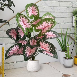 ดอกคาลาเดียมประดิษฐ์สองสี12 18 24ใบใบใบใบพืชเขตร้อนสีสันสดใสสำหรับบ้านสำนักงานในร่มพืชจำลอง - Product Image 4