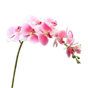 2024 gran oferta Flor <span class=keywords><strong>de</strong></span> orquídeas <span class=keywords><strong>de</strong></span> imitación para centros <span class=keywords><strong>de</strong></span> mesa <span class=keywords><strong>de</strong></span> boda <span class=keywords><strong>seda</strong></span> Artificial tacto Real mariposa orquídea <span class=keywords><strong>polilla</strong></span> - Product Image 1