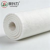Géotextile perméable à filaments WSL pour la séparation des couches de sol, stabilisation des pentes artificielles et projets de stabilisation des pentes rocheuses
