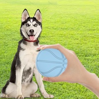 Porte-monnaie en silicone en forme de ballon de basket avec fermeture éclair, porte-clés portable, mini-sac de transport pour animaux de compagnie couleur macaron