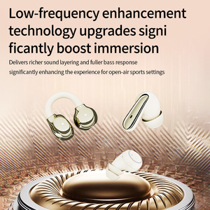 Auricolari Wireless P47 <span class=keywords><strong>3</strong></span> in 1 Multi-Stile, Audio Spaziale Hi-Res, Clip per Orecchio / In-Ear / Mini Auricolari, Una Custodia Tre Paia di Auricolari - Product Image 4