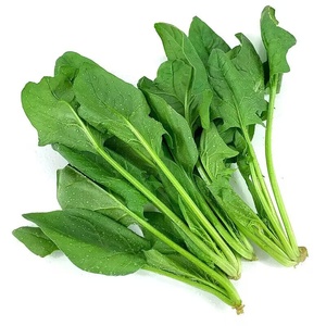 Espinaca fresca de temporada cultivada en la granja, tallos cortos, raíces rojas para olla caliente, embalaje a granel, secado de anuncios, envío gratis a través de SF Express - Product Image 5
