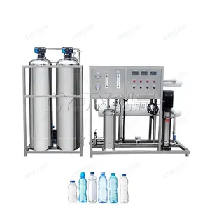 CYJX kimyasal makine 5 galon ters osmoz sistemi dozlama pompası ile maden suyu tesisi makine su arıtma ekipmanları