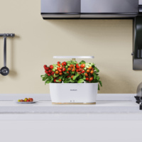 Plante led de haute qualité élèvent une jardinière d'intérieur intelligente pour maison hydroponique légère avec connectivité wifi