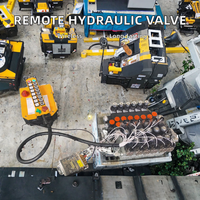 Vannes de commande directionnelles électro-hydrauliques RAYPOO 12V/24V P40, dispositif de commande à distance, pression 315 bar, débit 40 L/min