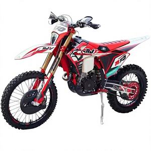 Motocicleta todoterreno Lin Dao con motor de cuatro válvulas y doble árbol de levas refrigerado por agua <span class=keywords><strong>AJ1</strong></span> A10 YBS300. - Product Image 1
