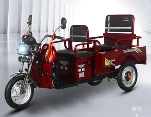 2023 nouveau Mini tricycle électrique pour passager et cargo, noir et rouge pour usage familial ou personnel, Scooters électriques
