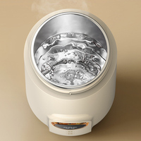 Bouteille d'eau bouillante électrique portable 2026 avec affichage numérique LED, tasse chauffante d'extérieur – Agent de dropshipping Shopify pour la distribution