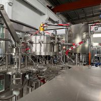 Machine de remplissage de bouteilles PET entièrement automatique 10000BPH, ligne de mise en bouteille linéaire pour la production d'eau potable pure