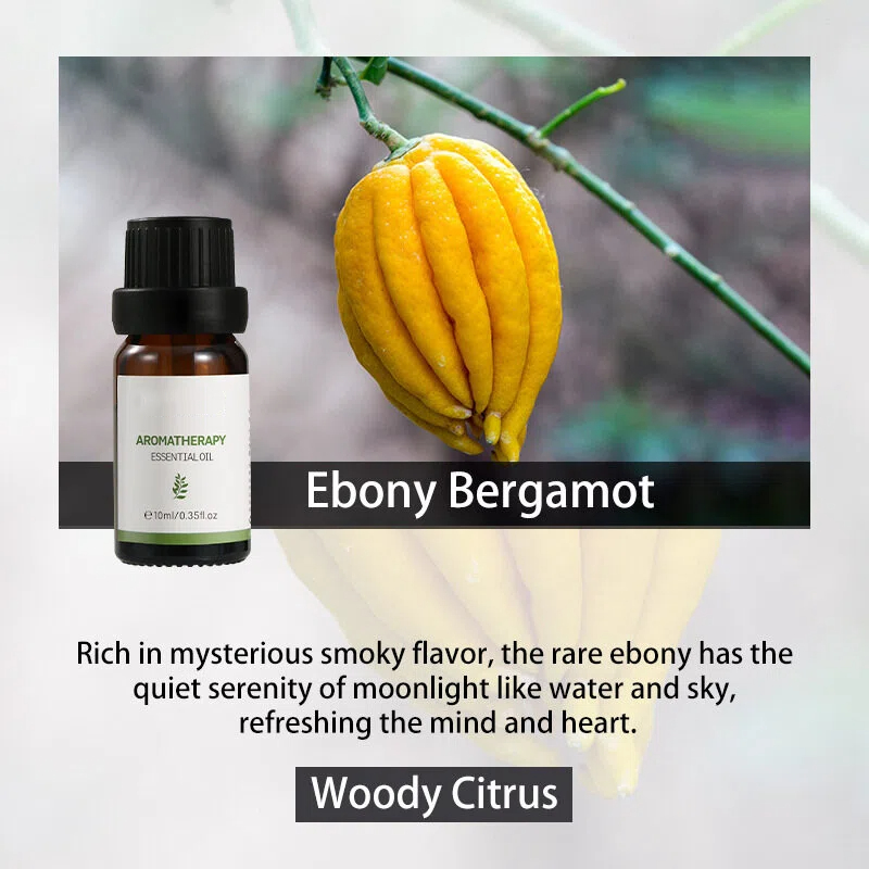 Bergamote ébène