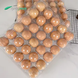 Superventas Clamshell 30 agujeros bandeja de huevos de plástico PET bandeja de huevos para supermercado
