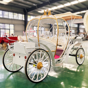 Carruaje Eléctrico Real con Forma de Calabaza de la Princesa Cenicienta, Modelo 2026, para Bodas - Product Image 1