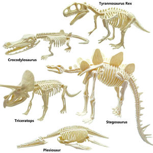 Cool 3d Dinosaurus Model Assemblageset Educatieve Opgraving <span class=keywords><strong>Dino</strong></span>-Dig Set Met Skelet Graafgereedschap Voor Kinderen - Product Image 3