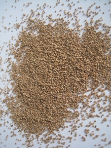Sandblasting <strong>Walnut</strong> <strong>Shell</strong> 0.5 Granules Dry Grit 16 Mesh <strong>Walnuts</strong> <strong>Shell</strong> - Product Image 2