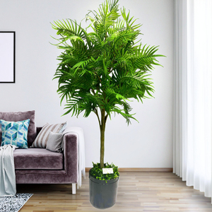 Bán Buôn Trang Trí Nội Thất Nhân Tạo Cây Thông Với Nhựa Lá Bền Nhân Tạo Thực vật Hiện Đại Mô Phỏng Thực vật Trong Nhà Palm - Product Image 4