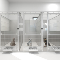 Modèle solide antirouille Galvalume Dog Kennel Caisse en fil soudé économique avec plateau en plastique Palette pour grands chiens