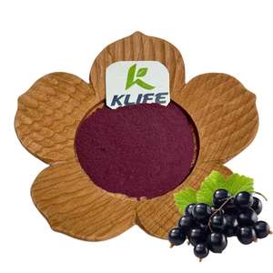 <span class=keywords><strong>100%</strong></span> bubuk jus buah murbei alami bubuk buah murbei kering beku organik - Product Image 1