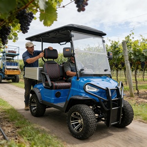 Véhicule utilitaire électrique de Type UTV, buggy <span class=keywords><strong>tout</strong></span>-<span class=keywords><strong>terrain</strong></span>, pour agricole et le jardin - Product Image 3