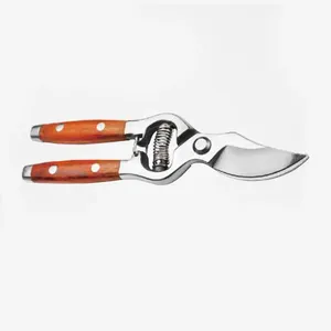 Popular Garden Tools Pruning Shears Scissors Straight Fruit Tree <strong>Pruner</strong> - Product Image 2