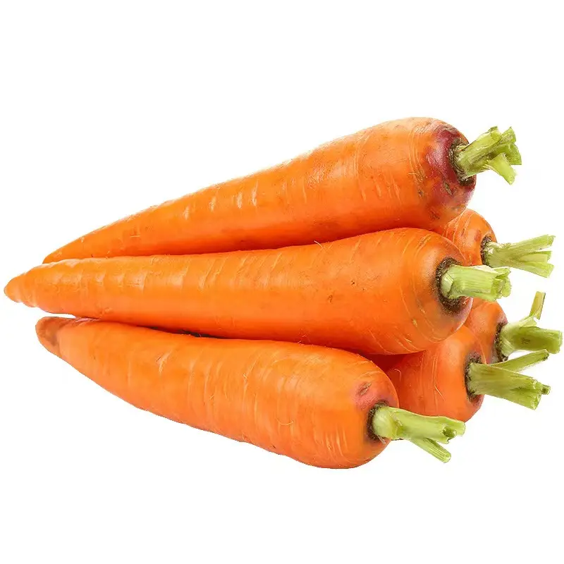 Premium Fresh Vegetable Fresh Carrots in Bags All Specifications of Fresh Carrots