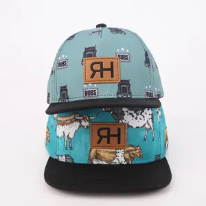 Individuelle 5-panel 3d-stickerei flachschirmmütze Schnappback-Hüte Großhandel Gorras individuelle Schnappback-Gitter-Lkw-Hüte