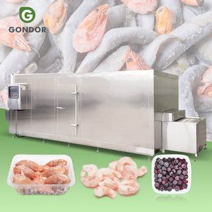 Congélateur tunnel pour la congélation rapide individuelle et la surgélation de la crème glacée à la pomme de terre : les avantages et les applications - Product Image 1