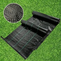 Toile anti-herbe personnalisable en polypropylène, résistante aux déchirures, pour le contrôle des adventices sur les terres agricoles, adaptable à diverses configurations