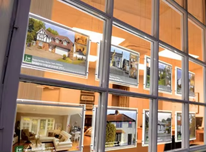 Boîte à lumière LED A3 Crystal 12V Power Indoor Display avec matériau acrylique rectangulaire pour publicité sur fenêtre de fourmi immobilière - Product Image 2