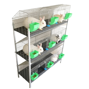 Cage à lapins robuste en acier galvanisé de type H avec nichoir intégré pour des opérations d'élevage agricole à haute productivité - Product Image 2