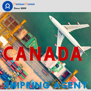 Turkménistan Logistique internationale Agent de transport Fret aérien de la Chine vers le Canada - Product Image 5