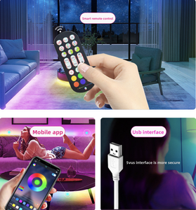 5-24V USB 2.4G Colorful App <strong>Controller</strong> 24 Key Intelligent Full-color Flowing TV Atmosphere <strong>LED</strong> Light Strip <strong>Controller</strong> - Product Image 5