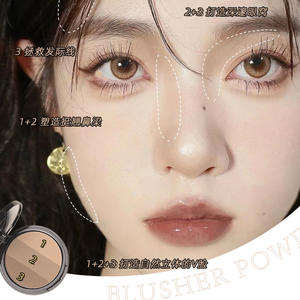 Holesale-corrector de <span class=keywords><strong>tartas</strong></span> de 3 colores, polvo superresistente al agua de alto brillo, control de aceite de larga duración multicolor - Product Image 4