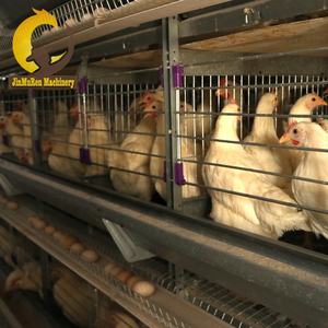 Jinmuren a type layer chicken fully automatic poultry <strong>farms</strong> 10000 15-20 years layer chickens farm <strong>bird</strong> cage - Product Image 6