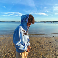 Sweats à capuche personnalisés de haute qualité, surdimensionnés et lourds, sweat à capuche en mousse de coton avec impression 3d pour hommes