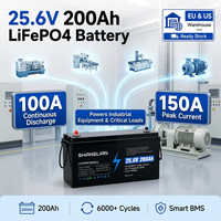 Batterie LiFePO4 25,6 V 200 Ah pour tricycle électrique, vélo électrique, lithium 5120 Wh, cycle profond avec BMS pour kit de conversion de scooter électrique