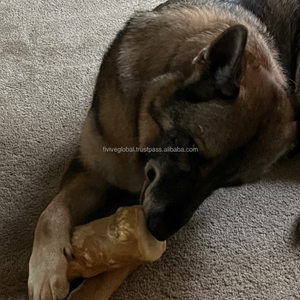 Suministro para mascotas, masticar perros gorila, fortalece los dientes y las encías, juguetes para masticar para masticadores agresivos, juguetes para perros de Vietnam, ODM, MOQ bajo - Product Image 1