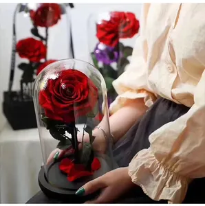 Rose en forme de coeur TKA préservée dans le dôme en verre avec entendre Mignon cadeau de Saint Valentin roses conservées dans le dôme en verre