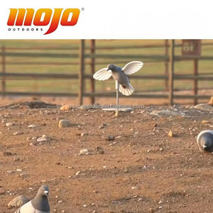 MOJO Outdoors Richiamo per <span class=keywords><strong>Piccioni</strong></span> 3D Realistico in Plastica, Accessori per Caccia al Piccione, Portatile <span class=keywords><strong>e</strong></span> Resistente - Product Image 6