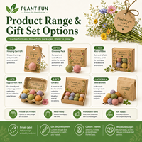 Kit de culture de Myosotis en gros avec bombe de semences et tablette de terreau pour boîte cadeau de jardinage e-commerce