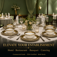 Service de table en porcelaine de qualité commerciale, 18 pièces, en nouvelle porcelaine fine avec bordure dorée électro-plaquée, pour hôtel et restaurant